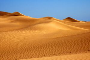 Dunes de Maspalomas