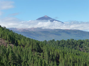 le Pic Teide